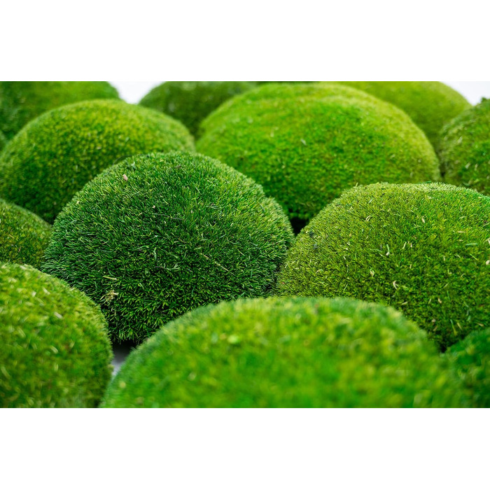 Кульковий мох, кульковий мох, консервований у 3-х різних кольорах, справжній міцний натуральний продукт для виготовлення мохових картин, займає площу 30х30 см - 0,10 м (світло-зелений)