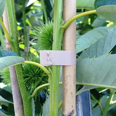 Плоскогубці для обв&39язування MAX HT-R45C Плоскогубці для обв&39язування рослин винограду, помідорів, малини, ківі Професійний інструмент для виноградарства та садівництва