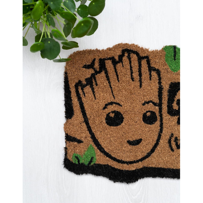 Килимок для придверних приміщень, 40x60