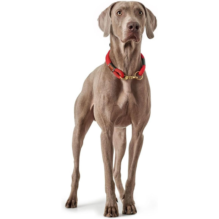 Мисливський намисто OSS 40 см червоне 150 г Червоне 60 см