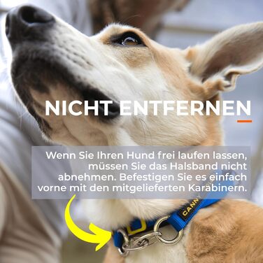 Антитягнучий нашийник-шлейка для собак Мяко та ефективно зупиняє тягу на повідку Допоміжний засіб для спокійних прогулянок Розмір 6, Ліловий. Обхват шиї 48-53 см Розмір 6