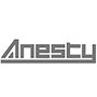 Anesty