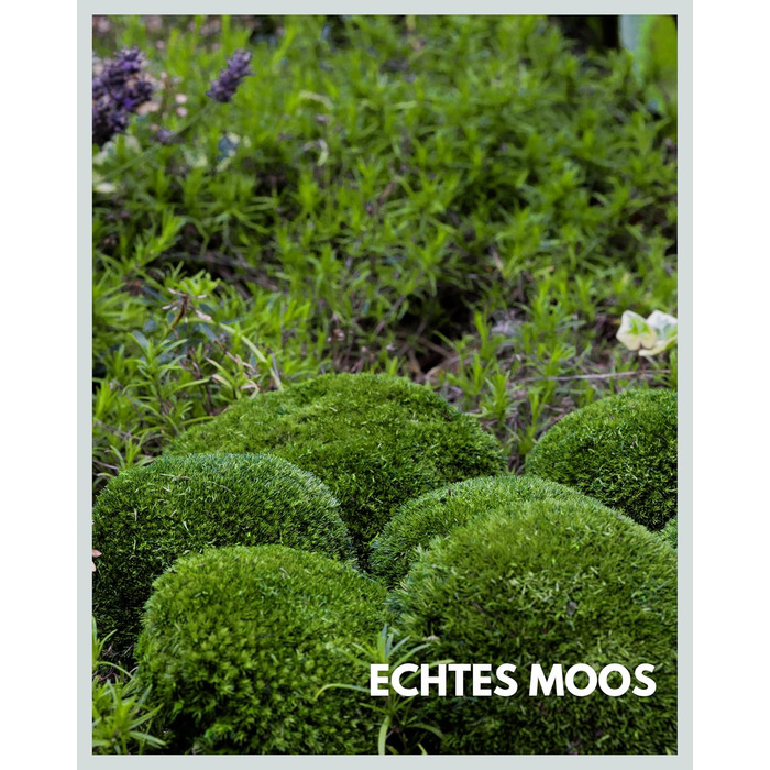 Шаровий мох збережений натуральний зелений 125 г Справжній Болленмосс для фотографій моху Міцний мох для рукоділля Водостійкий натуральний зелений ісландський мох