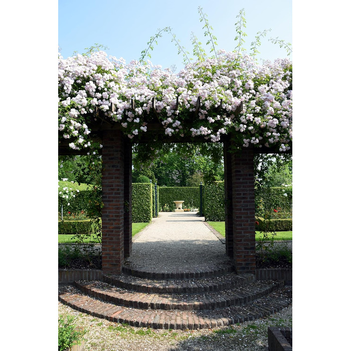 Шкіряна кобура OKATSUNE 133 велика Кобура для пояса з міцної шкіри Підходить для садових ножиць/секаторів Okatsune 103 та 104 235 мм, 65 г Світло-коричнева кобура 133 для 103104