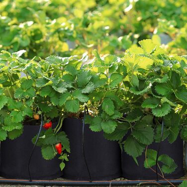 Мішки для рослин Zubebe на 60 предметів, садові мішки на вагу, вентильовані горщики для вирощування, міцні горщики для рослин з потовщеної нетканої тканини, чорні контейнери для картоплі, помідорів, овочів, квітів, фруктів (5 галонів)