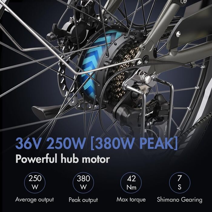 Офіційний жіночий велосипед F26-PRO з додатком E Bike 26 дюймів, чоловічий електричний велосипед E Bike 250 Вт, гірський велосипед Ebike 42N.m з акумулятором 36V / 14,5AH Shimano Pedelec E Bike Women 120 кг IP54 Green