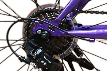 Гірський велосипед Talson 26 дюймів з 21-швидкісним перемикачем швидкостей Shimano, ліхтарями (відповідає німецьким правилам дорожнього руху) та передньою підвіскою (фіолетового кольору)