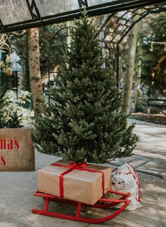 Штучна різдвяна ялинка преміум-класу 180 см TreesHouse