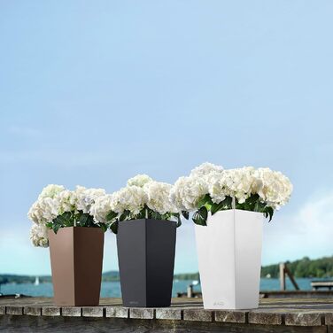 Колір 22 сланець сірий 13164 сланець сірий садовий одинарний