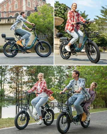 Електричний велосипед DYU C9 E-Bike для чоловіків та жінок - Електровелосипед з акумулятором 48 В 15,6 Аг, колесами 20 x 3,0 дюйма, 7-ступінчастою коробкою передач зі світлодіодним дисплеєм, двигуном 250 Вт та швидкістю 25 км/год, запасом ходу до 150 км, 