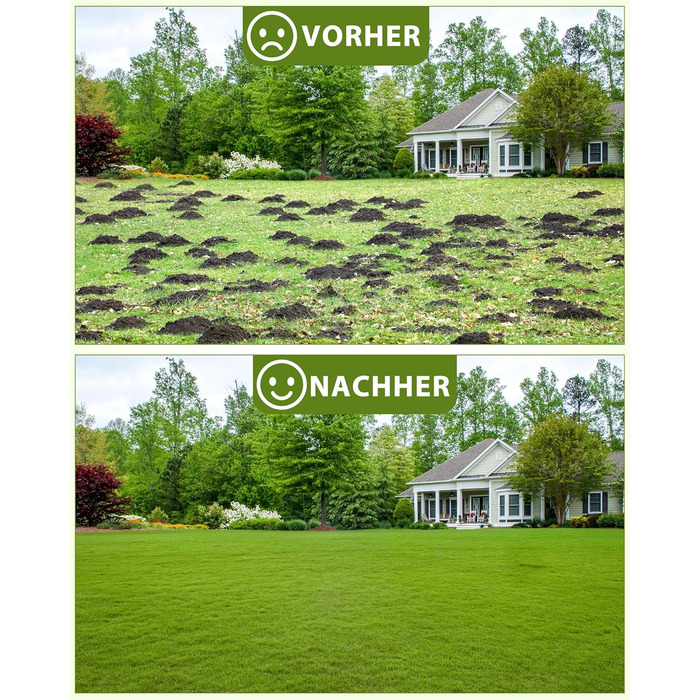 Гребінь для газону Rasen Rakel 76x25 см з ручкою 198 см, вирівнювач газону, широкий гребінь для піску, садовий аератор/гребінь для подвір'я, газону та гольф-поля (198 см, 76x25 см)