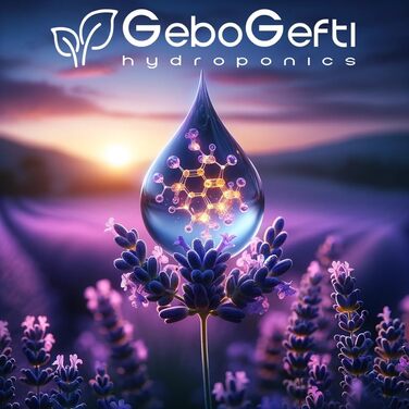 Ліналоол 20 мл чистого терпену