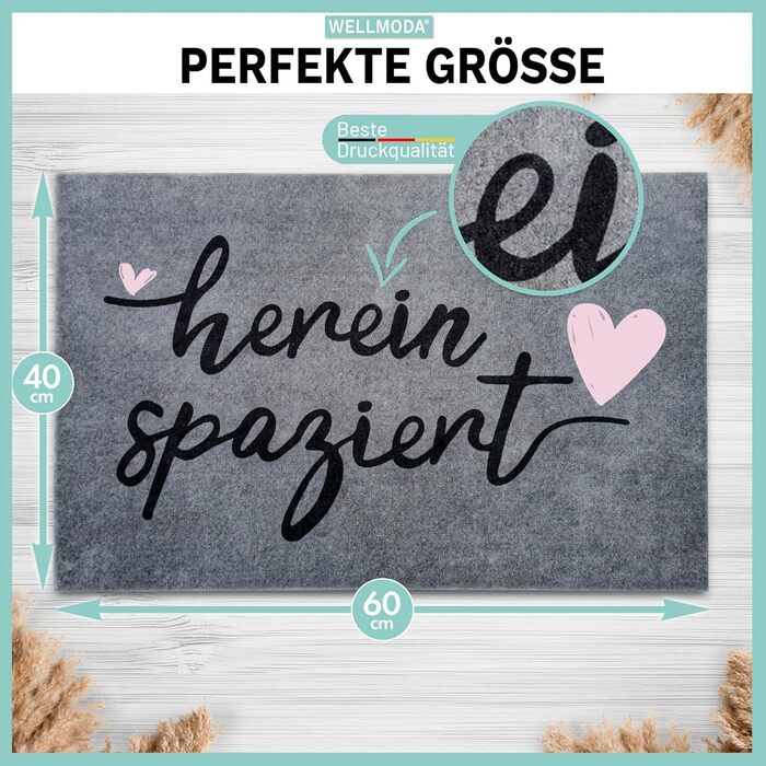 Килимок для дверей Ласкаво просимо Можна прати в пральній машині та нековзний Килимок для дверей для приміщень та вулиці Килимок для дверей та прикраса для дверей, 40x60 см та сірий 40 x 60 см (прямокутний) Ласкаво просимо