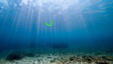 Стартовий набір Libra Lures Fatty D Worm Tournament 55 мм 20 мяких приманок для форелі 10 кольорів з ароматом криля набір гумових приманок герметичний контейнер ідеально підходить для лову форелі