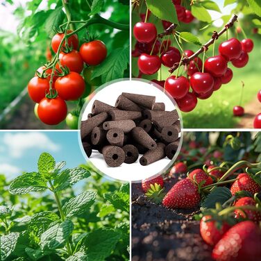 Змінні губки для розмноження, запасні губки для росту для систем гідропонного вирощування Насіннєві стручки для старту Губки для росту коренів для систем гідропонного вирощування Набір для гідропоніки в приміщенні, 50 шт.