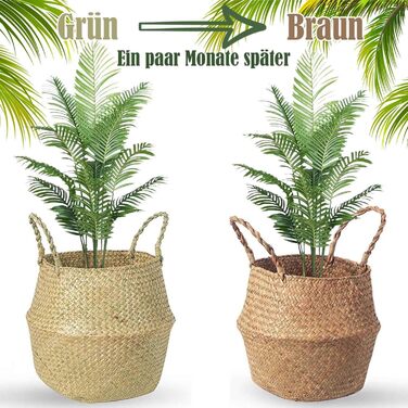 Кошики для зберігання морської трави, круглий кошик для білизни з ручкою, плетений кошик з натуральних матеріалів, кошики для рослин, складний кошик на животі для зберігання ковдр, рослин, іграшок (XXL 38x34 см), 2