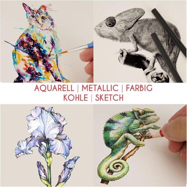 Професійний набір олівців для малювання Zenacolor із 74 предметів, пенал з 24 акварельними олівцями, 12 кольоровими олівцями, 12 металевими олівцями, 12 графітовими олівцями та аксесуарами - 1 альбом для малювання