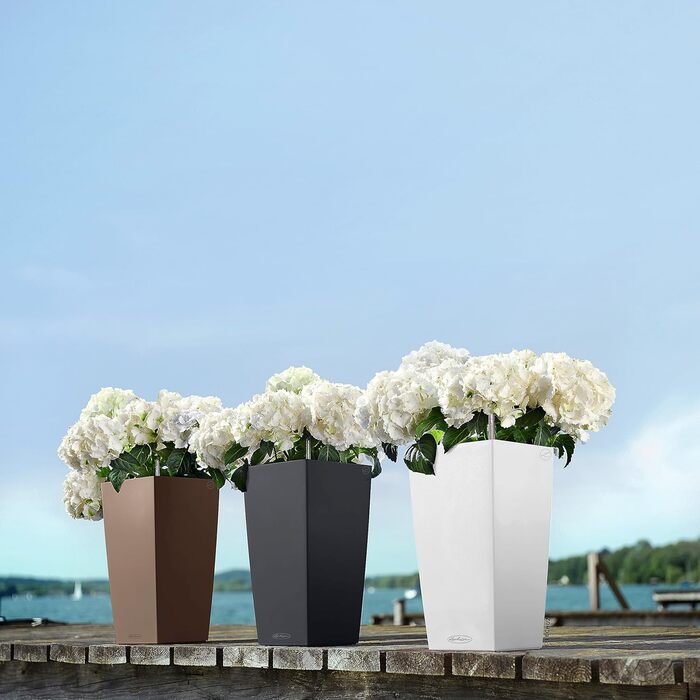 Колір 22 сланець сірий 13164 сланець сірий садовий одинарний