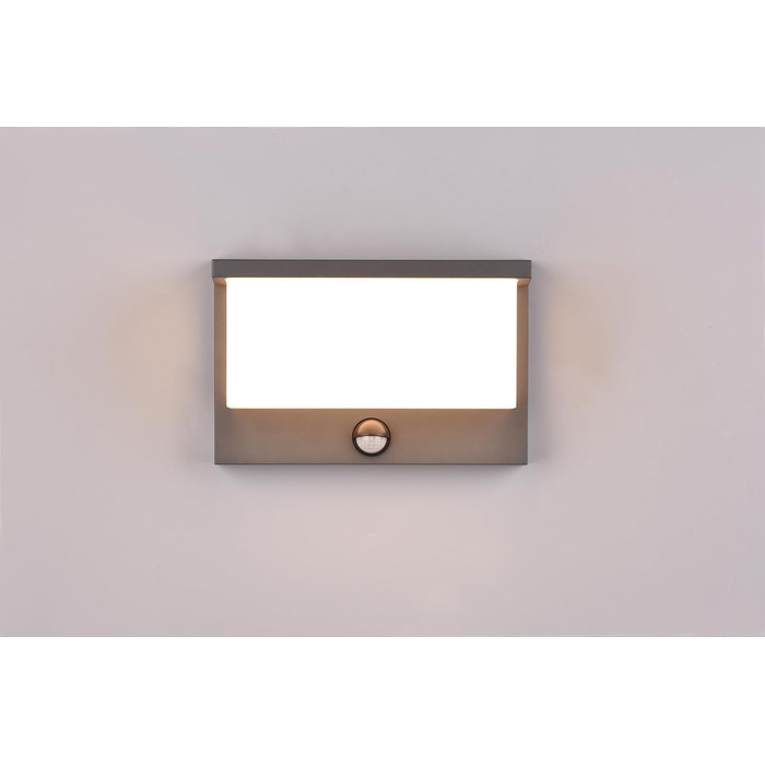 Стічний LED-світильник Trio Leuchten Nestos 240969142, алюміній (антрацит), білий пластиковий плафон, 13 Вт, з датчиком руху