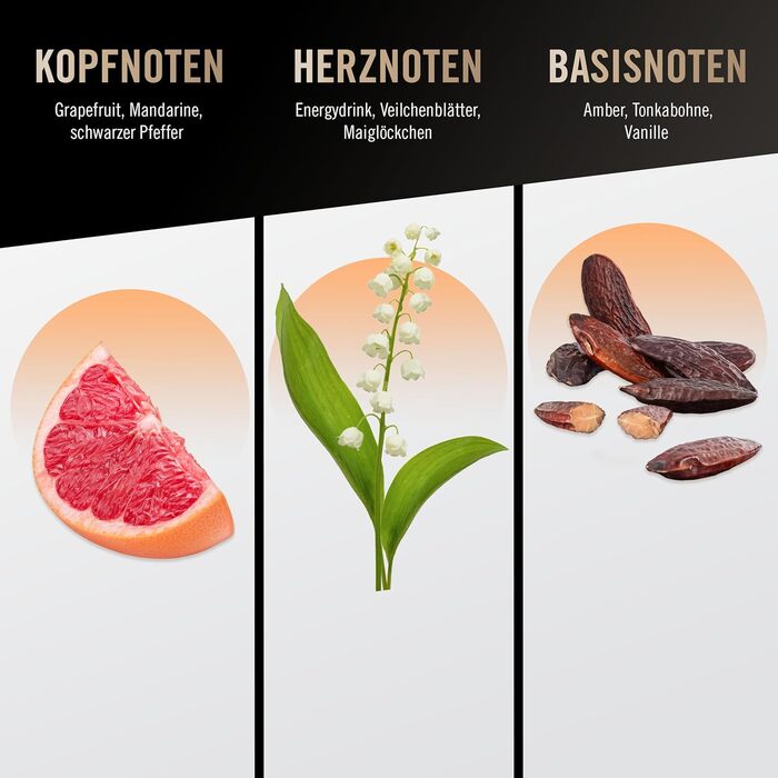 Туалетна вода bruno banani Absolute Man (50 мл)