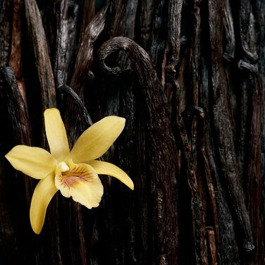 Парфуми Escada Celebrate N.O.W (30 мл)