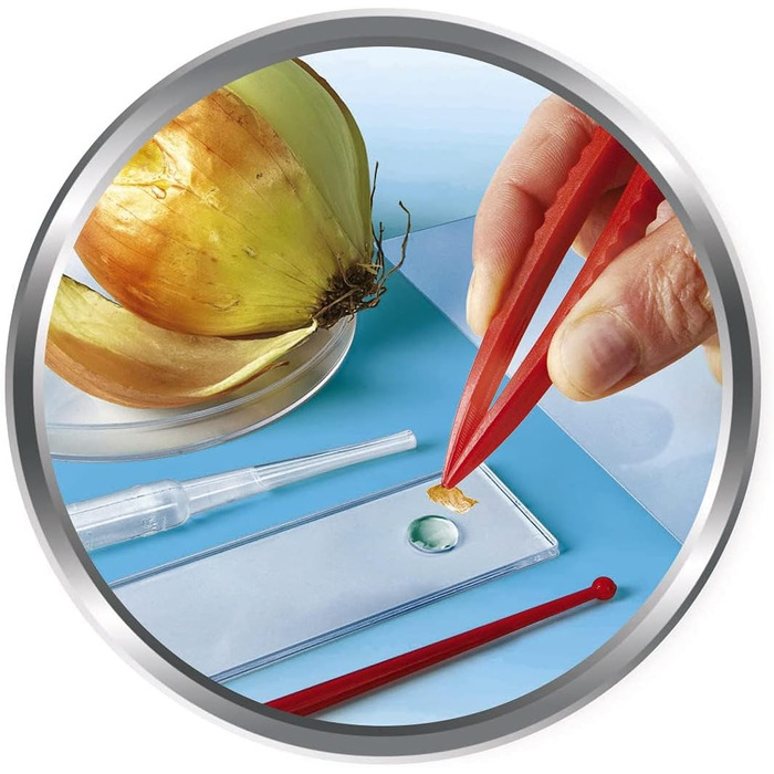 Навчальний набір Galileo Lab Clementoni, мікроскоп Nature Under Microscope