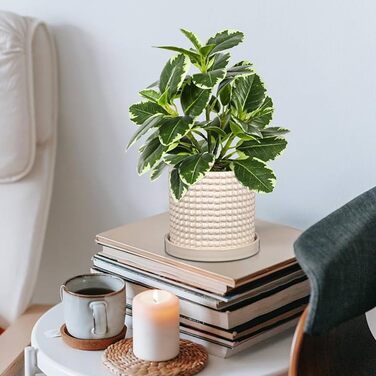 Набір із 2 керамічних квіткових горщиків, 15 см 11 см, з бульбашками та дренажними отворами, сині квіткові горщики з перловим дизайном, декоративні кімнатні квіткові горщики, підходять для кактусів та ампельних рослин, білий-2