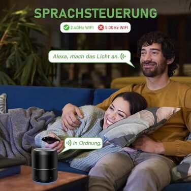 Розетка WLAN з вимірюванням потужності - додаток GreenSun VeSync Розетка WLAN Таймер Розетка Вимірювач вартості електроенергії Голосове керування за допомогою таймера/розкладу Alexa Розетка Wi-Fi 16A