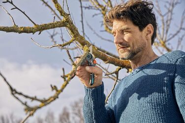 Садові ножиці Gardena ExpertCut Прецизійні ножиці для дерев, обхідний обріз гілок/гілок/фруктових дерев, максимальний діаметр різання 22 мм, 2-рівневе відкриття ручки (12203-20) Одинарні