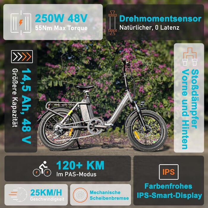 Складаний електровелосипед HANEVEAR H6-Light, електричні велосипеди з датчиком крутного моменту Акумулятор 48 В 14,5 Аг, запас ходу до 120 км Двигун 55 Нм 250 Вт 3,0-дюймовий Fat E-Bike, позашляховий електровелосипед Pedelec для чоловіків та жінок, сірого