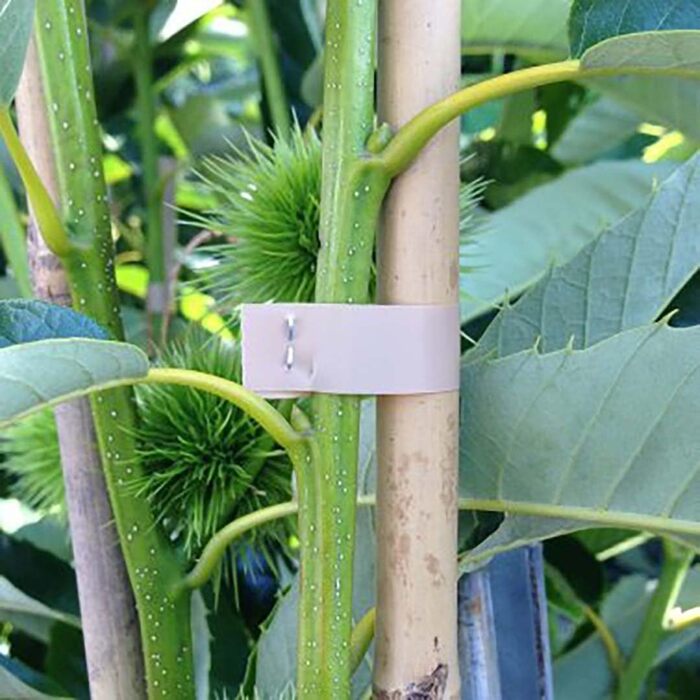 Плоскогубці для обв&39язування MAX HT-R45C Плоскогубці для обв&39язування рослин винограду, помідорів, малини, ківі Професійний інструмент для виноградарства та садівництва