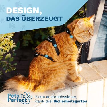 Шлейка для котів Pets Perfect - Надміцна шлейка для котів із повідком, що запобігає втечі - Повідець для котів - Наш комплект шлейок для котів забезпечує безпеку під час прогулянок (S)