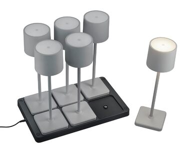 Набір бездротових LED-настільних світильників Reality Fernandez R54096677, 6 шт. з зарядною станцією, метал/пластик, сірий, 1.5 Вт