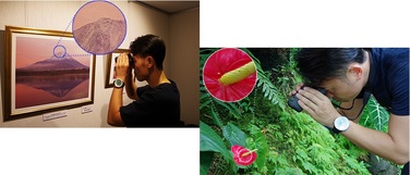 Бінокль Pentax UP 8.5x21 Papilio II (62002)