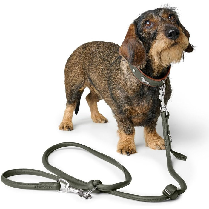 Нашийник для такси Мюнхен, колір коньяк/чорний, шкіра, вишукані декоративні елементи для такс, м'який та міцний, не пошкоджує шерсть, розкішний, екологічно виготовлений, стійкий, вироблено в Німеччині, розмір 32 коньяк/чорний 32