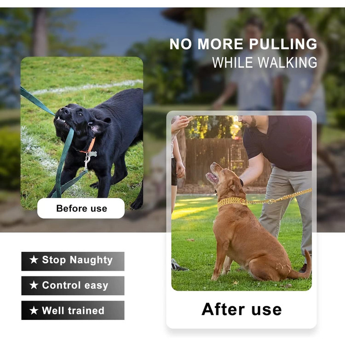 Золотий нашийник для собак, нержавіюча сталь, 18-каратне золото, регульований для прогулянок, металевий, ланцюг Кубинська ланка, міцний, дворядний ланцюг, для великих, малих та середніх собак, 30,540,6 см (12-16 дюймів), 18 каратів