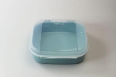 Чіпси TUPPERWARE Sweet Tooth Kitten 1.7 л синьо-білий Bellevue банка, упаковка Apollo Royal