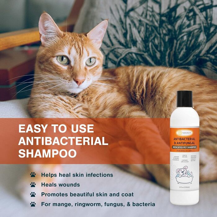 Шампунь для домашніх тварин Healthy Paw Life з лаймом та сіркою догляд за домашніми тваринами та ветеринарне рішення для сверблячої та сухої шкіри безпечний для собак, котів, цуценят, кошенят та коней