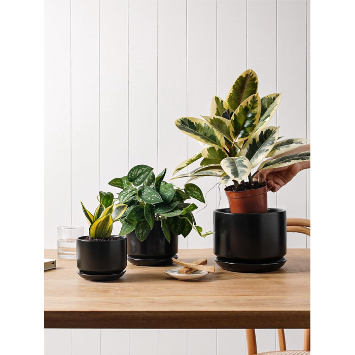 Набір з 3 керамічних квіткових горщиків, діаметром 111317 см, набір для невеликих кашпо, квітковий горщик для кімнатних рослин з блюдцем та дренажним отвором, чорний