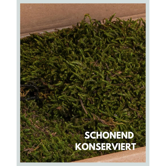 Пластинчастий мох довго зберігав природний зелений Декоративні стінові мохові панелі довговічні Картина з моху своїми руками зроби сам Килимок із натурального зеленого моху, 300 г, Living in Green