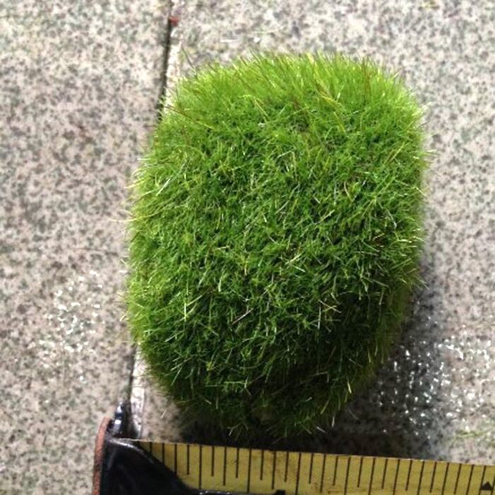 Штучні мохові камені казковий садовий мох скелі ляльковий будиночок квітковий горщик DIY прикраса, 12 шт.