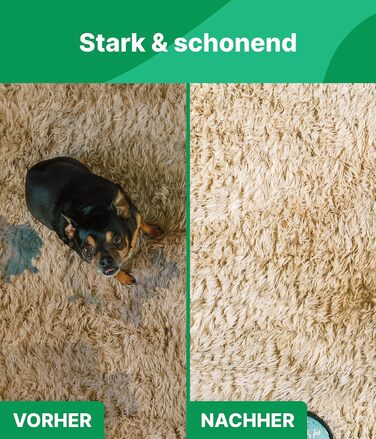 Мл ДЛЯ ВСІХ КИЛИМІВ - Засіб для чищення килимів Піна для килимів - Засіб для виведення плям проти запаху - Засіб для чищення килим