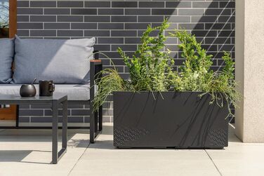 Квітковий горщик Ondis24, Кашпо під бетон Caro, XXL Кашпо на колесах Виготовлено зі 100 переробленого пластику, Велике вуличне кашпо (Антрацит, 80 см) Антрацит 80 см