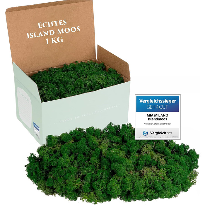 Ісландський мох збережений темно-зелений Прикраса з моху для рукоділля 1 кг справжнього декоративного ісландського моху для малюнків з моху та стін з моху