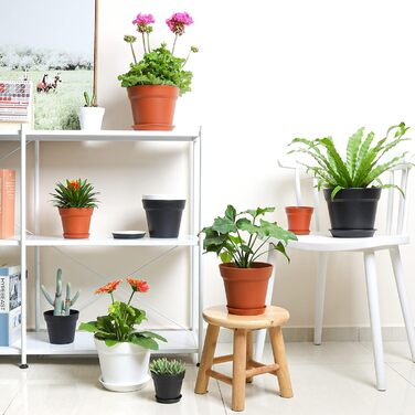 Пластиковий квітковий горщик з блюдцем, набір з 6 пластикових горщиків для трав з декількома дренажними отворами, кругла кашпо для