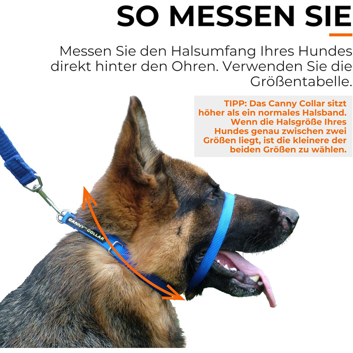 Антитягнучий нашийник-шлейка для собак Мяко та ефективно зупиняє тягу на повідку Допоміжний засіб для спокійних прогулянок Розмір 6, Ліловий. Обхват шиї 48-53 см Розмір 6