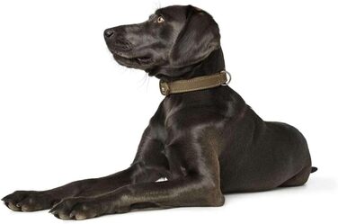 Нашийник для собак HUNTER, шкіра нубук, міцний, м'який, 60 см (M-L), оливковий