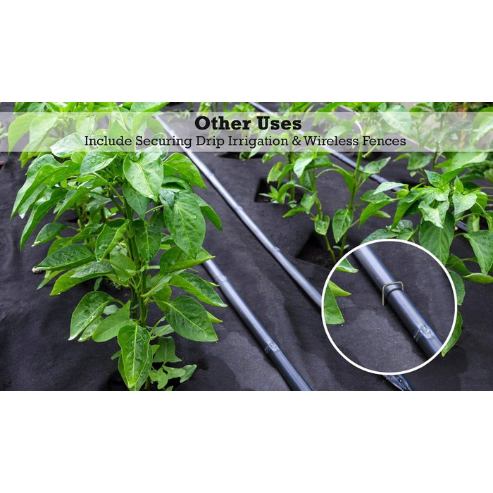 Скоби Sandbaggy 9 Gauge для ландшафтного дизайну, ідеально підходять для твердих ґрунтів, на 20 товстіші за конкурентів, яким довіряють фермери та підрядники в США (200 скоб)