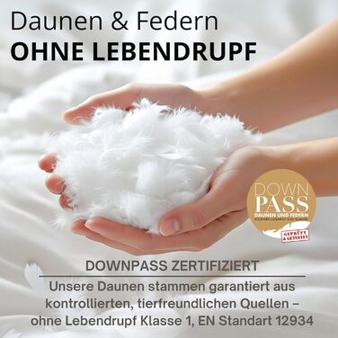 Пухова подушка, виготовлена в Німеччині, 80x80 3-камерна подушка 80x80, пух та пір&39я М&39яка та підходить для алергіків Ергономічна подушка Подушка 80x80 см