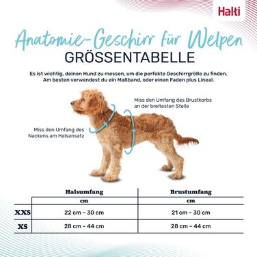 Шлейка HALTI Anatomy для цуценят свобода рухів та комфорт для вашого малюка. Легко одягається завдяки 4 точкам регулювання. Підходить для дрібних порід собак (розмір XXS, сірий)